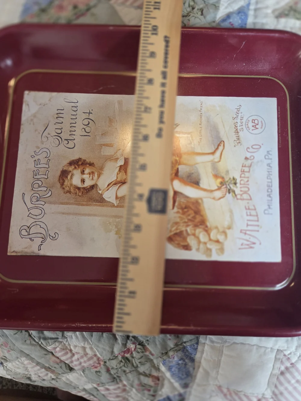 Vintage Red and Cream Decorative Farm-Themed Tray by Vintage
